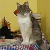 Отзыв от Елизавета Кириллова